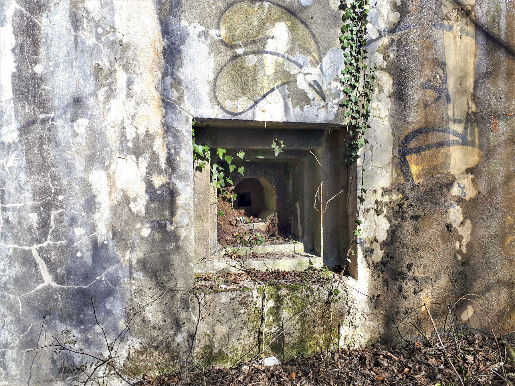 Ligne Maginot - SAUER - (Abri) - Créneau FM de façade - Grégory Fuchs