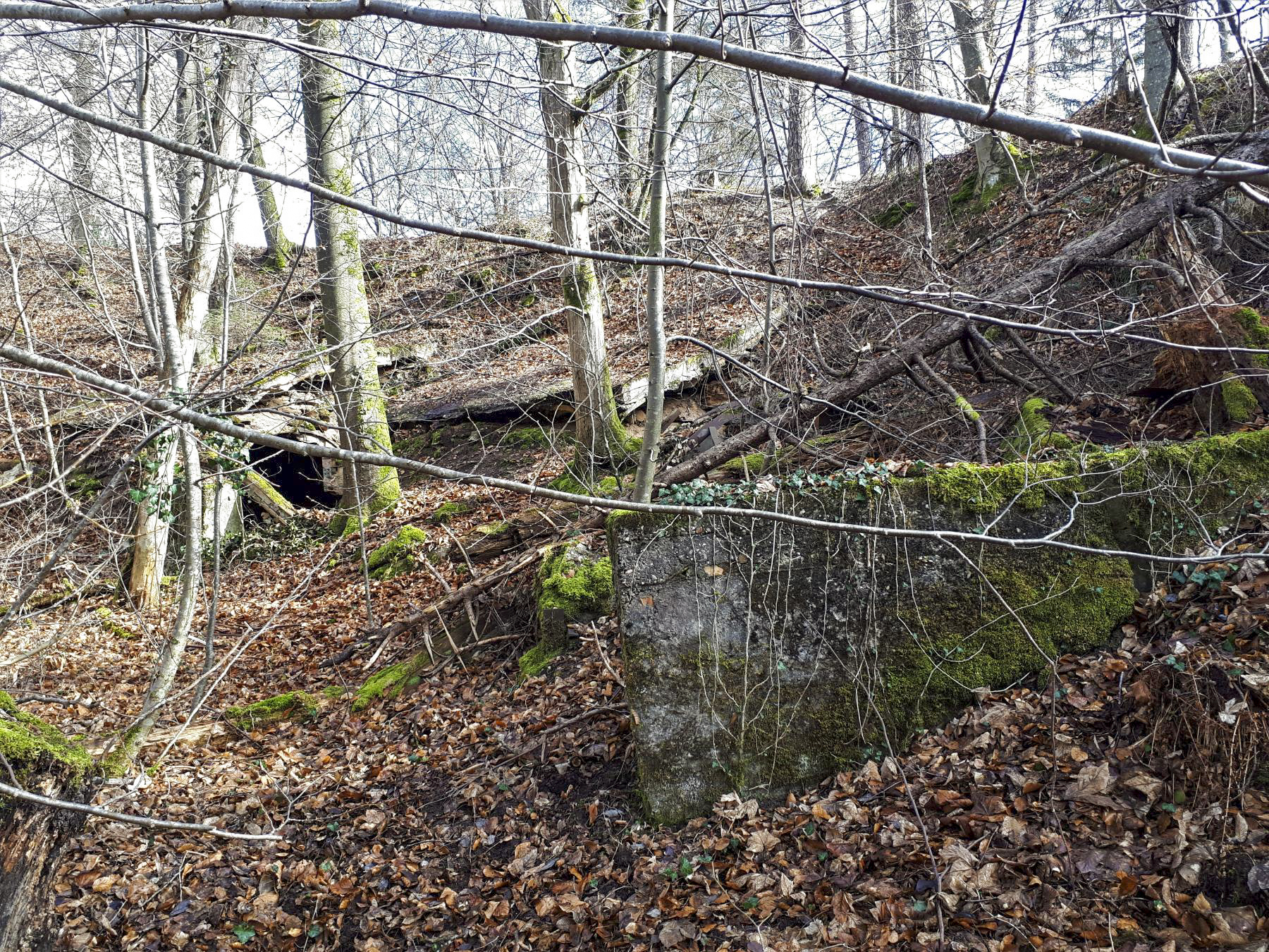 Ligne Maginot - ERZLACH - (1/69° RAMF) - (PC) - Le groupe de 3 alvéoles au pied du ravin - Gregory Fuchs