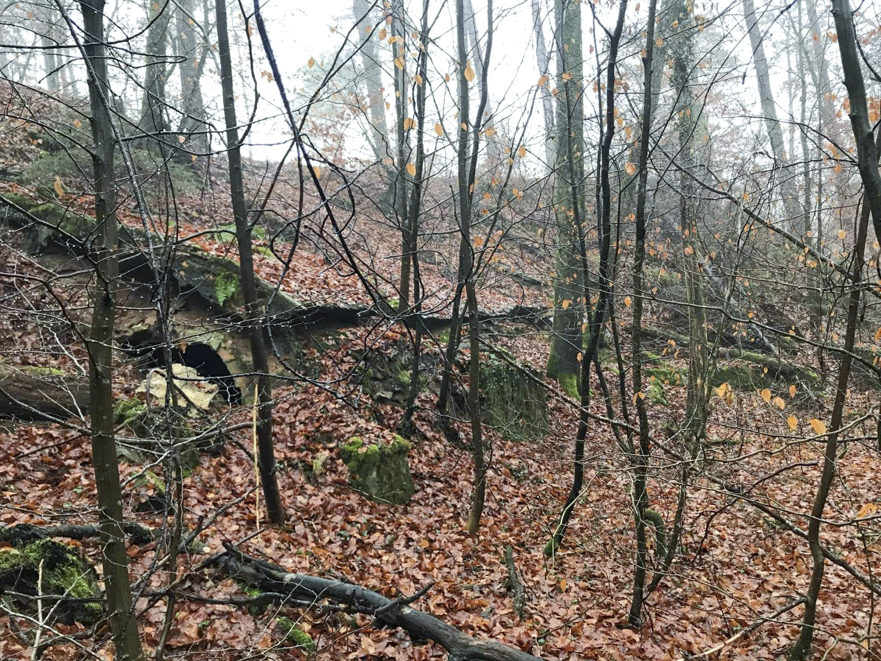 Ligne Maginot - ERZLACH - (1/69° RAMF) - (PC) - Le groupe de 3 alvéoles au pied du ravin - Arthur Emmelin