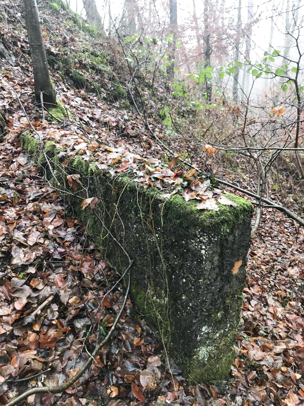 Ligne Maginot - ERZLACH - (1/69° RAMF) - (PC) - Abri 3 - Arthur Emmelin