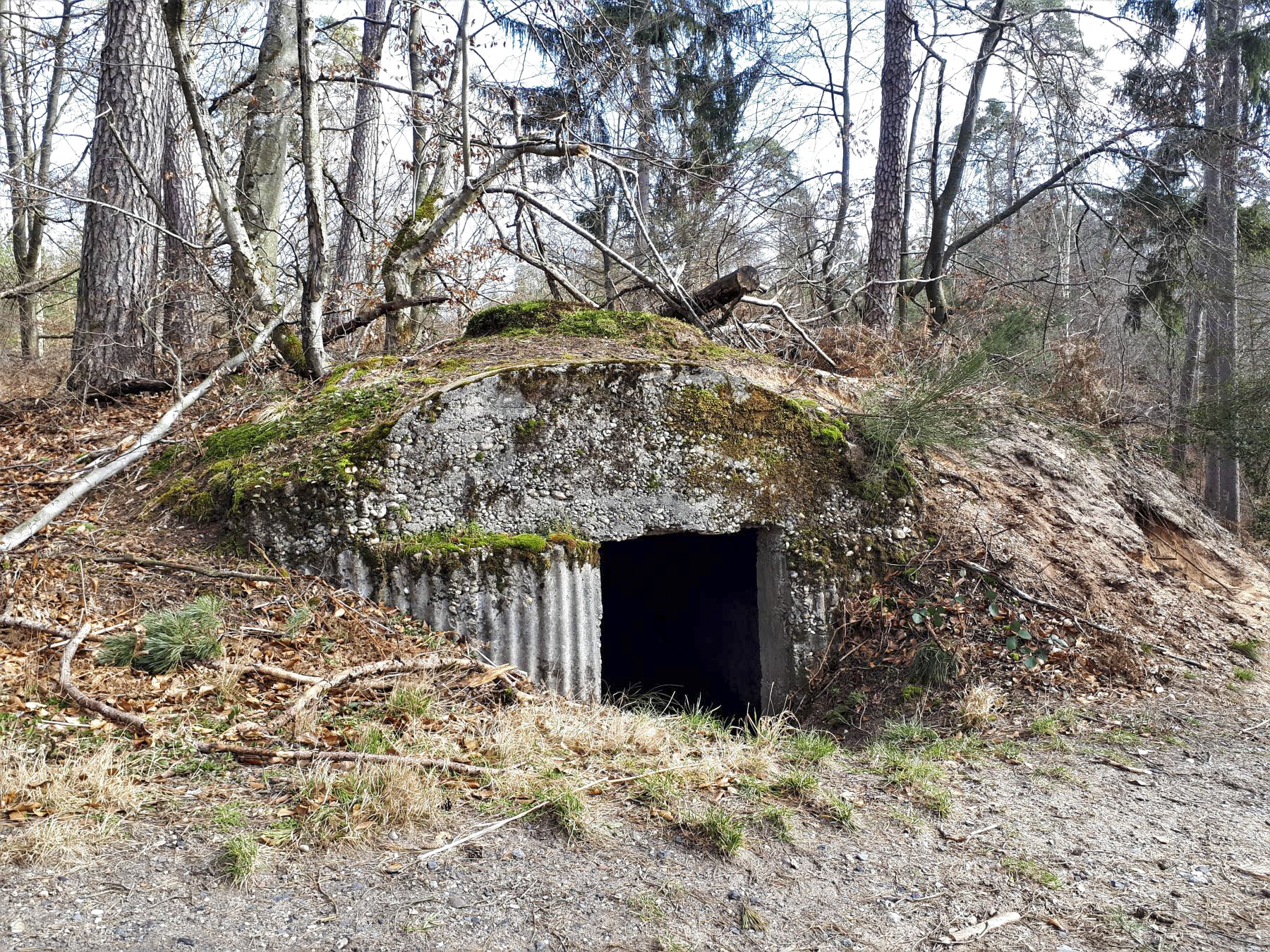 Ligne Maginot - ERZLACH - (1/69° RAMF) - (PC) - PC 2 - Gregory Fuchs