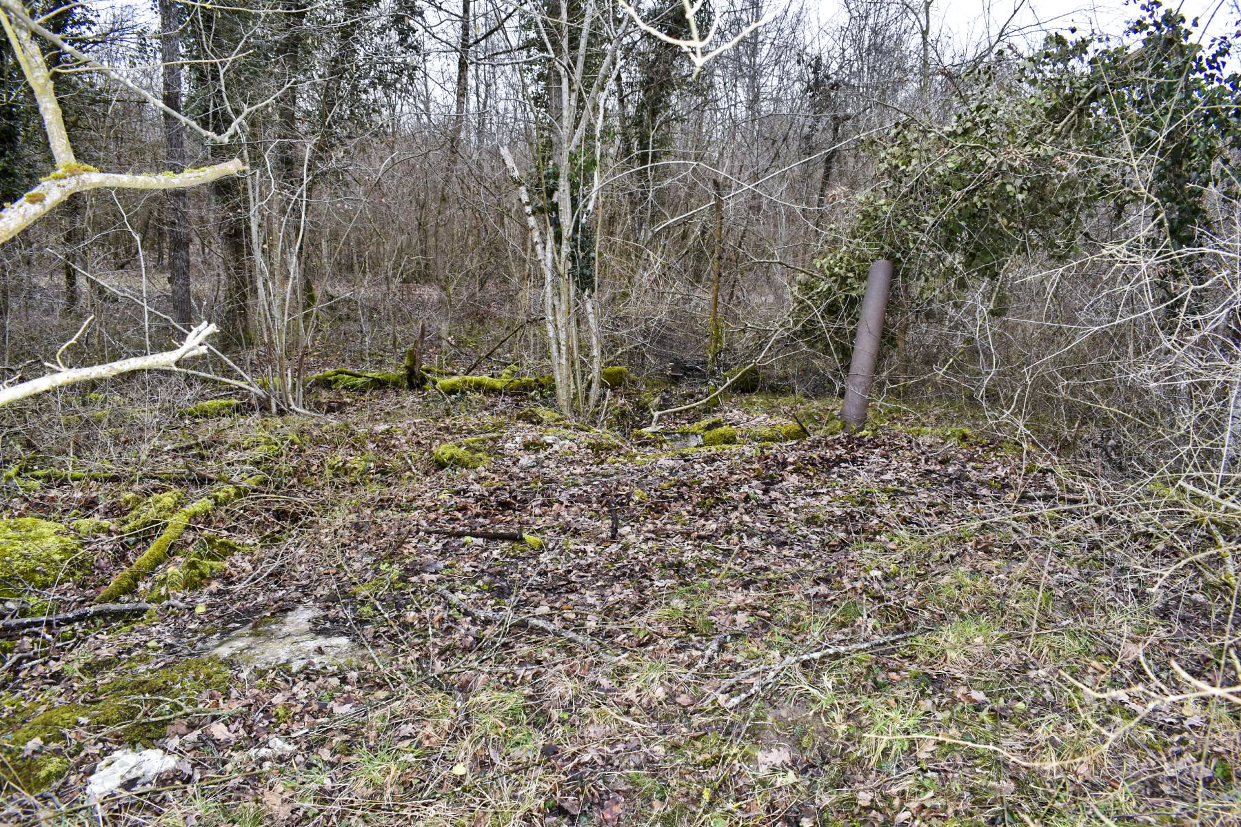 Ligne Maginot - DARIUS (I/316° RAP) - (Position d'artillerie préparée) - Vue du dessus, au fond le tuyau de cheminée - Daniel Froehly