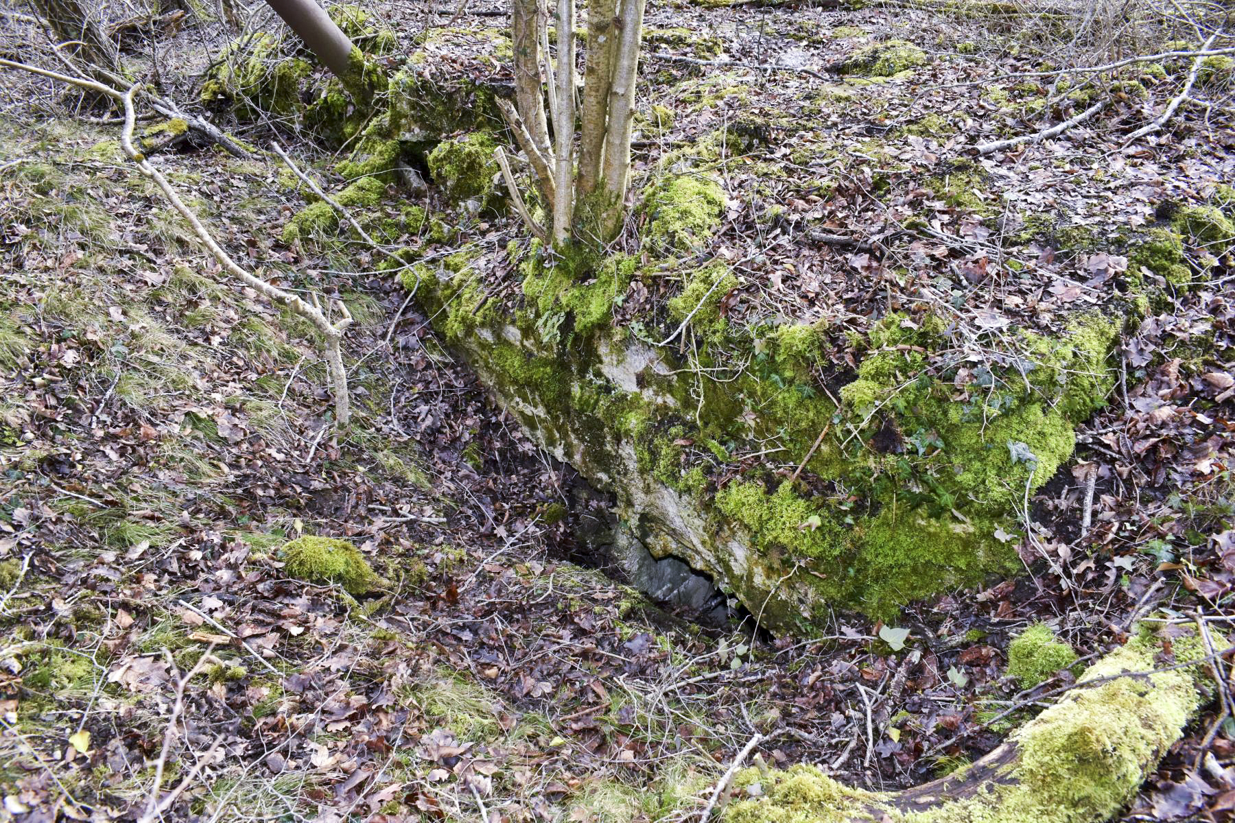 Ligne Maginot - DARIUS (I/316° RAP) - (Position d'artillerie préparée) - Entrée nord - Daniel Froehly