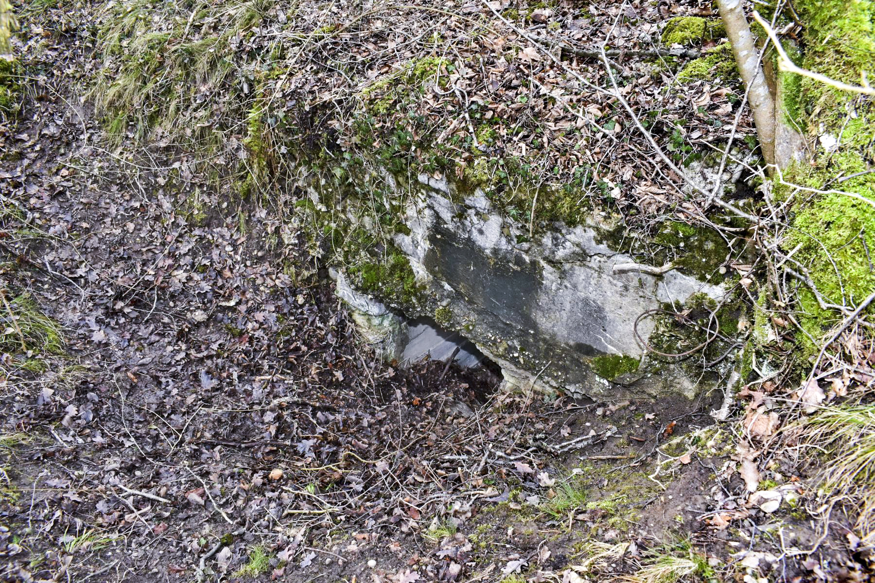 Ligne Maginot - DARIUS (I/316° RAP) - (Position d'artillerie préparée) - Entrée sud - Daniel Froehly