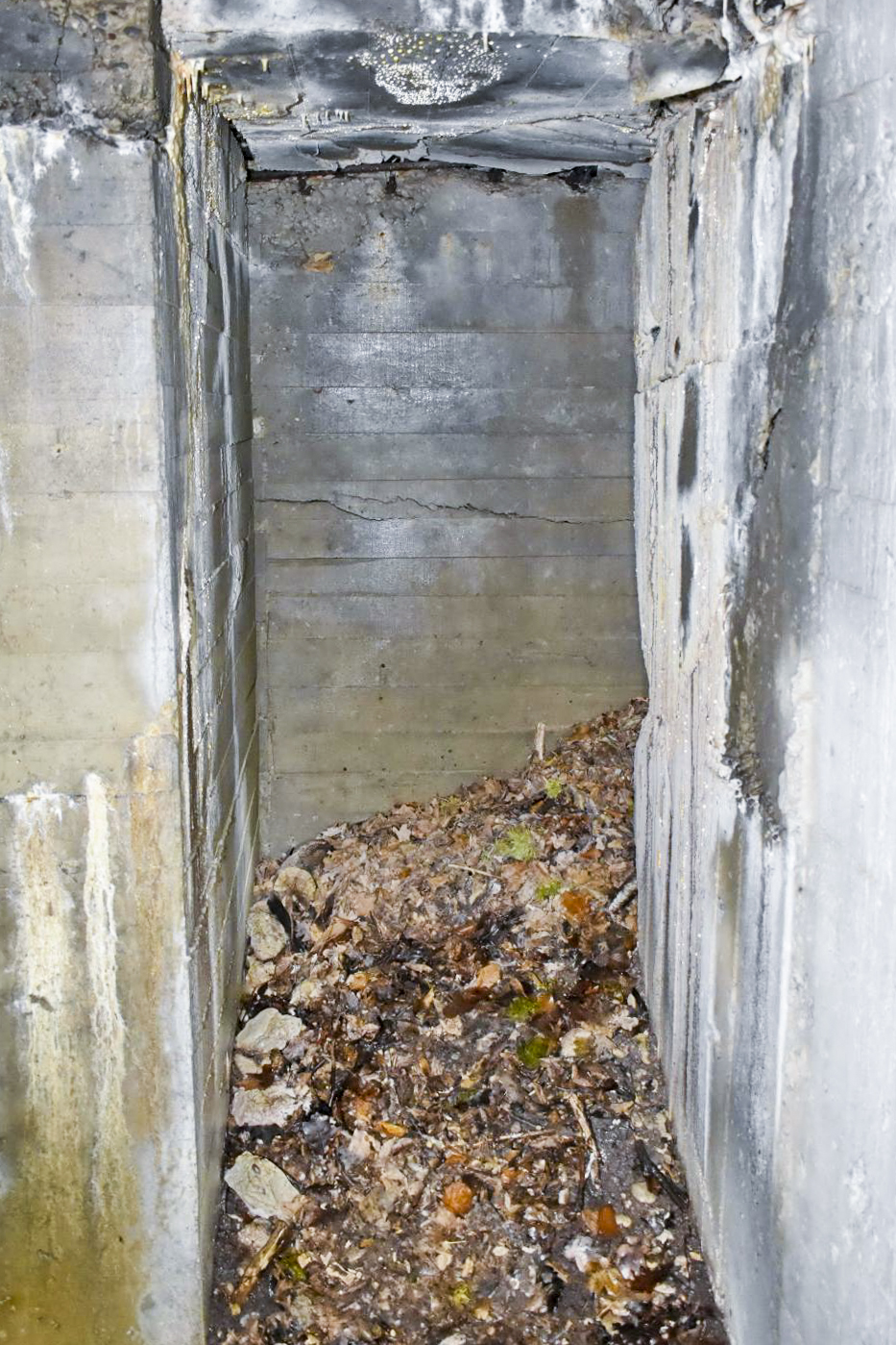 Ligne Maginot - DARIUS (I/316° RAP) - (Position d'artillerie préparée) - Entrée sud coté intérieur - Daniel Froehly
