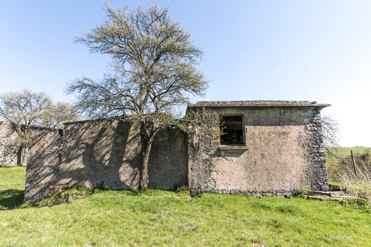 Ligne Maginot - OERMINGEN ( Stand de tir ) - Bâtiment de tir (façade ouest) - Christian LENHARD