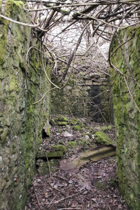 Ligne Maginot - OHLIGMUEHLE (QUARTIER HAUT-POIRIER - II / 133° RIF) - (PC de Quartier) - L'accès vers l'abri - Christian LENHARD