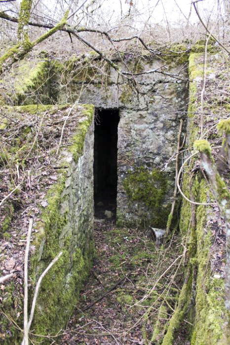 Ligne Maginot - OHLIGMUEHLE (QUARTIER HAUT-POIRIER - II / 133° RIF) - (PC de Quartier) - L'accès au local téléphone - Christian LENHARD