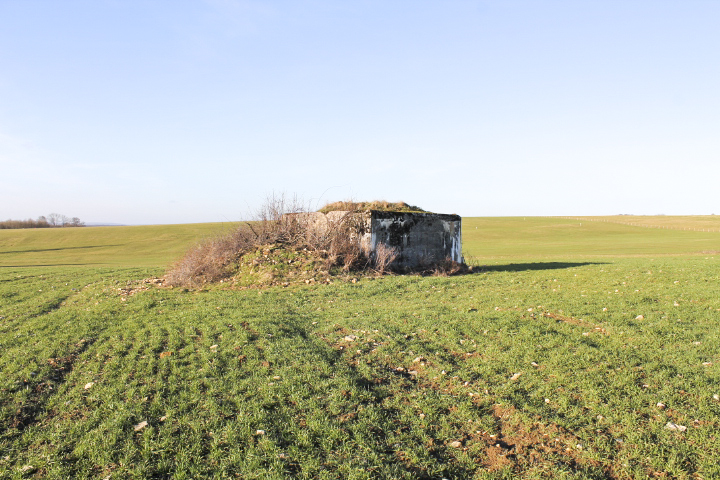 Ligne Maginot - PIFFERSRAEDCHEN 1 - (Blockhaus pour arme infanterie) -  - Christian LENHARD