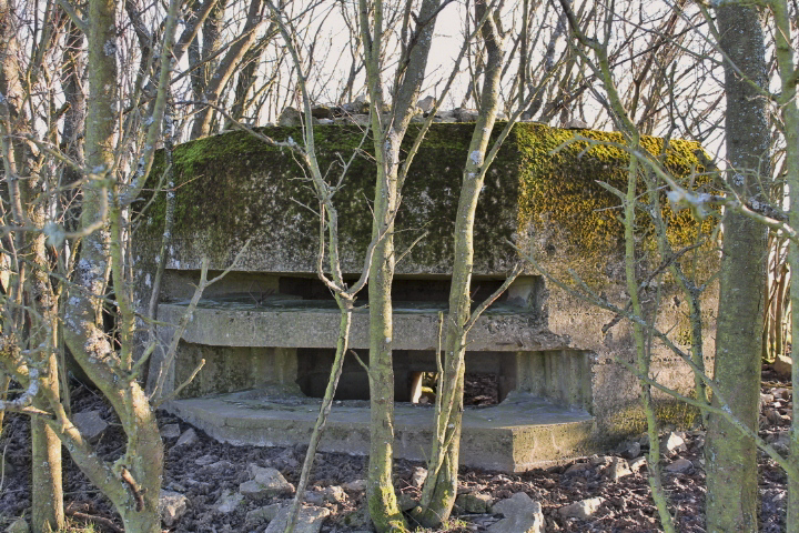 Ligne Maginot - PIFFERSRAEDCHEN 2 - (Blockhaus pour arme infanterie) - Les créneaux - Christian LENHARD