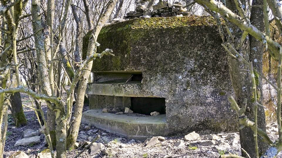 Ligne Maginot - PIFFERSRAEDCHEN 2 - (Blockhaus pour arme infanterie) -  - LAUER Markus