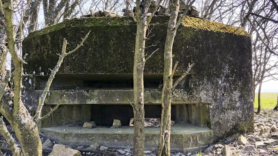 Ligne Maginot - PIFFERSRAEDCHEN 2 - (Blockhaus pour arme infanterie) -  - LAUER Markus