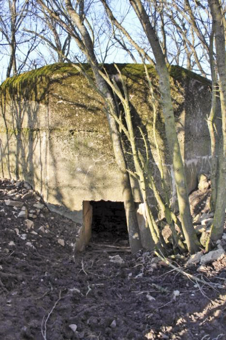 Ligne Maginot - PIFFERSRAEDCHEN 2 - (Blockhaus pour arme infanterie) - L'entrée - Christian LENHARD