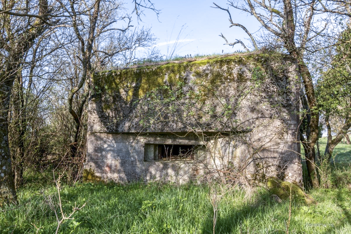 Ligne Maginot - PIFFERSRAEDCHEN 4 - (Blockhaus pour arme infanterie) -  - Christian LENHARD