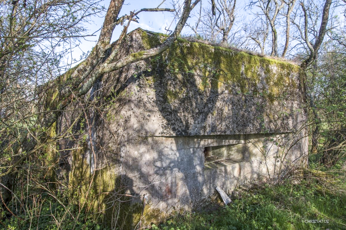 Ligne Maginot - PIFFERSRAEDCHEN 4 - (Blockhaus pour arme infanterie) -  - Christian LENHARD