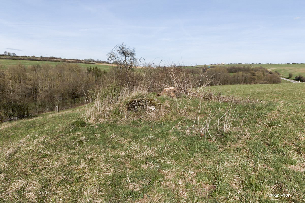 Ligne Maginot - SALWIESE 1 - (Blockhaus pour arme infanterie) -  - Christian LENHARD