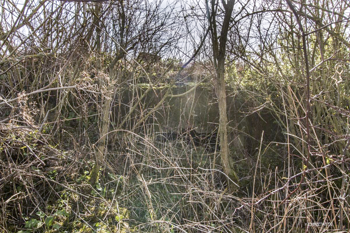 Ligne Maginot - SALWIESE 1 - (Blockhaus pour arme infanterie) -  - Christian LENHARD
