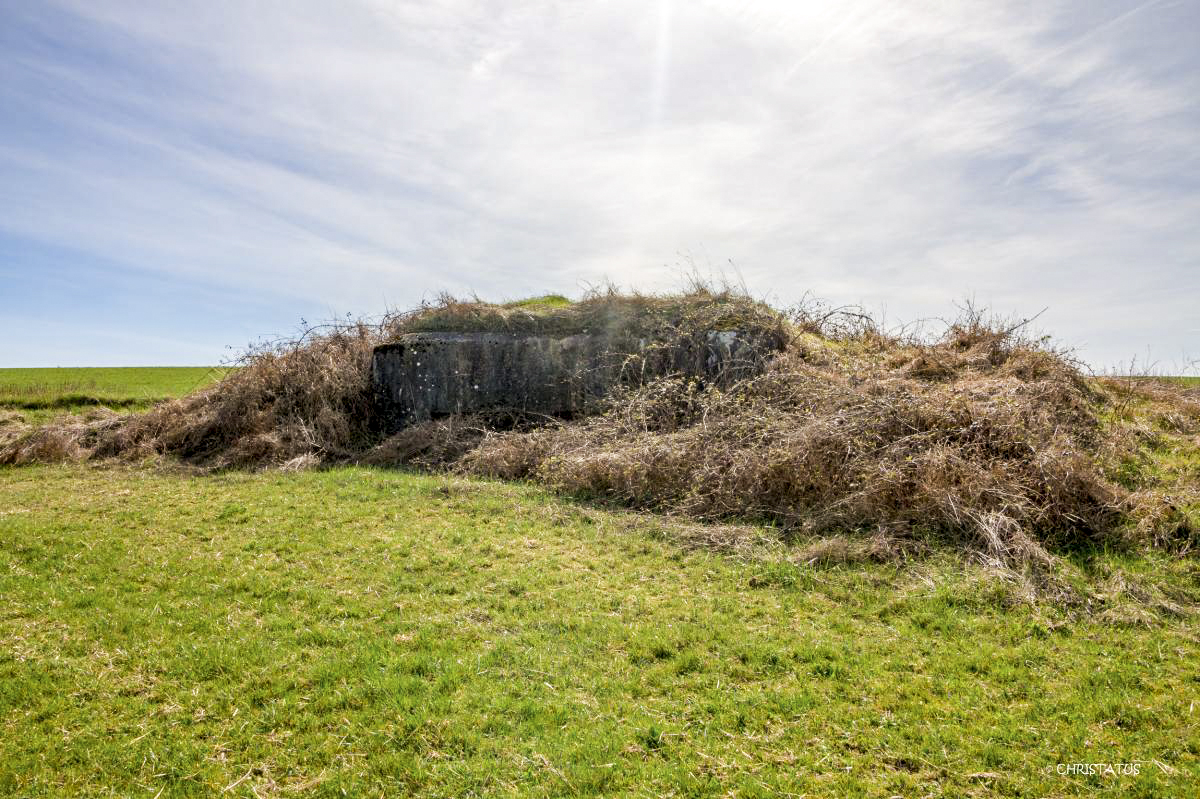 Ligne Maginot - SALWIESE 3 - (Blockhaus pour arme infanterie) -  - Christian LENHARD