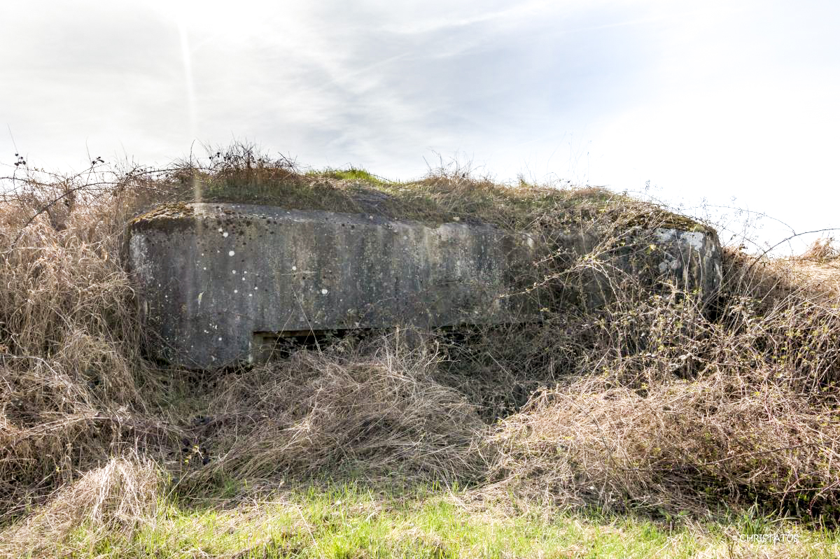 Ligne Maginot - SALWIESE 3 - (Blockhaus pour arme infanterie) -  - Christian LENHARD