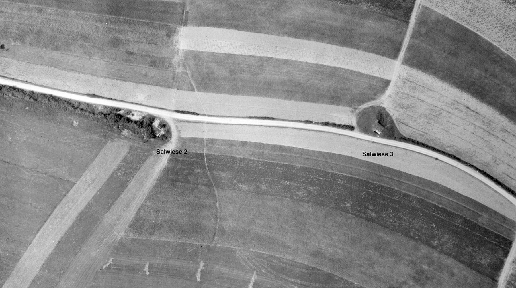 Ligne Maginot - SALWIESE 2 - (Blockhaus pour canon) - Les blockhaus Salwiese 2 et 3 - IGN - Géoportail 1950