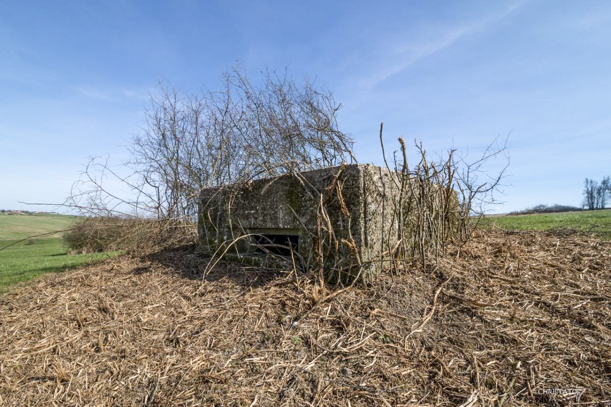 Ligne Maginot - SALWIESE 4 (Blockhaus pour arme infanterie) -  - Christian LENHARD