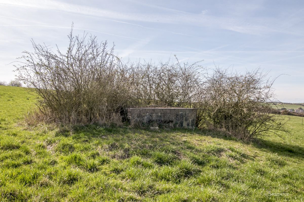 Ligne Maginot - SALWIESE 4BIS - (Blockhaus pour arme infanterie) -  - Christian LENHARD