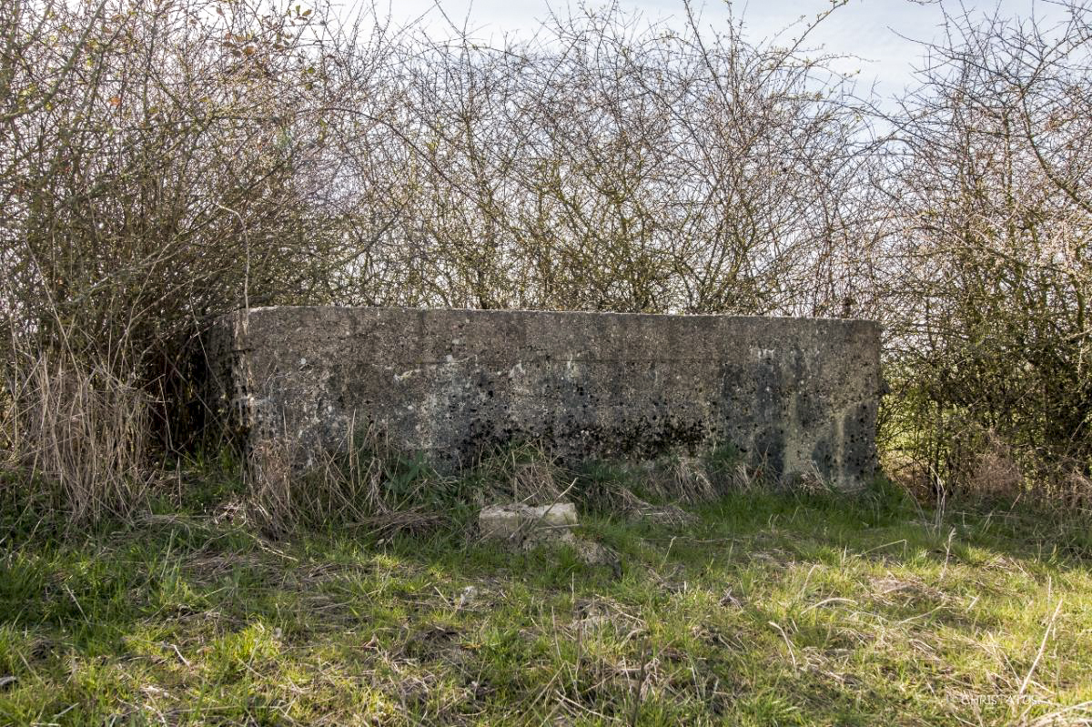 Ligne Maginot - SALWIESE 4BIS - (Blockhaus pour arme infanterie) -  - Christian LENHARD