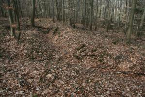 Ligne Maginot - GUNGLINGERBERG 8 - (Cuve pour arme d'infanterie) - Tranchée à proximité
