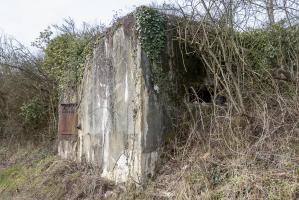 Ligne Maginot - CB120 - RISICKER - (Blockhaus pour canon) - Vue générale du blockhaus. 
On devine le créneau sous la broussaille.