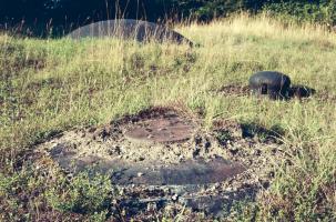 Ligne Maginot - ANZELING - A25 - (Ouvrage d'artillerie) - Bloc 4
Cloche LG