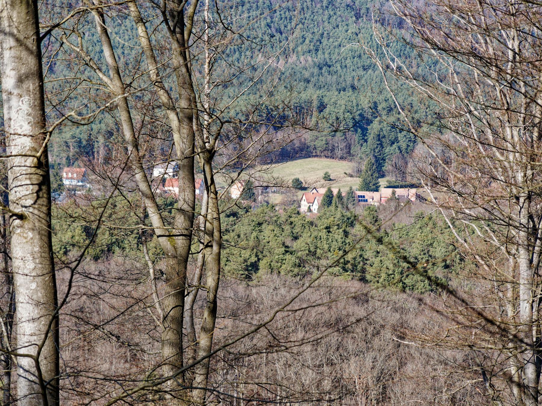 Ligne Maginot - WURZELKOPF - (Observatoire d'artillerie) - Aujourd'hui, la vue depuis l'observatoire n'est possible que pendant la saison sans feuilles  - Jürgen Morr
