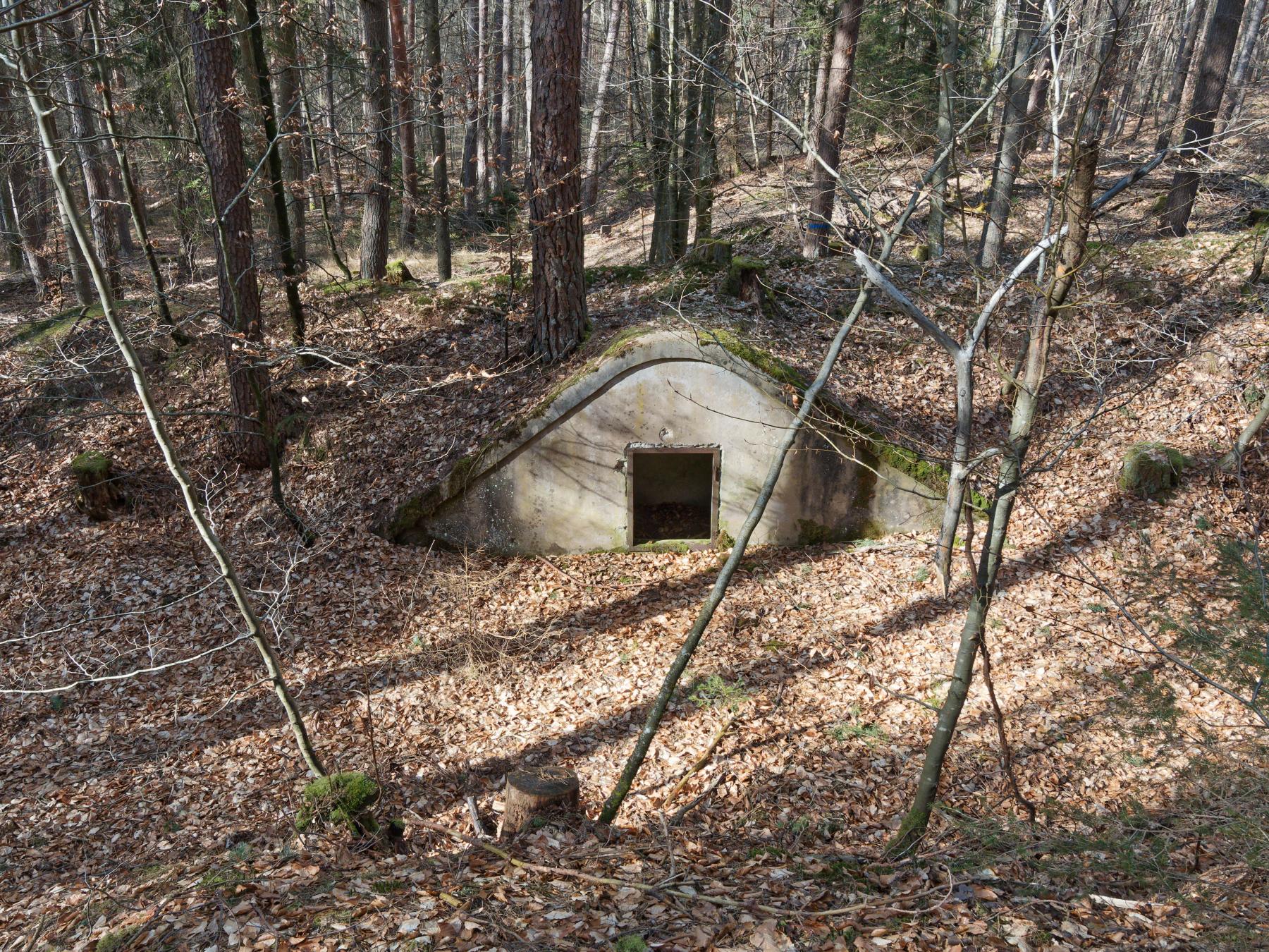 Ligne Maginot - NEUNHOFFEN - (Dépôt de Munitions) - L'abri à munitions est la seule structure restante - Jürgen Morr