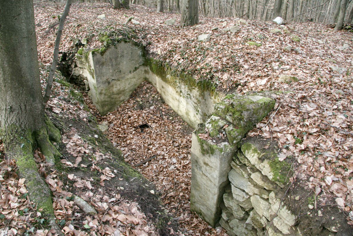 Ligne Maginot - GUNGLINGERBERG 8 - (Cuve pour arme d'infanterie) - Poste de tir d'infanterie bétonné - Alain Perouffe