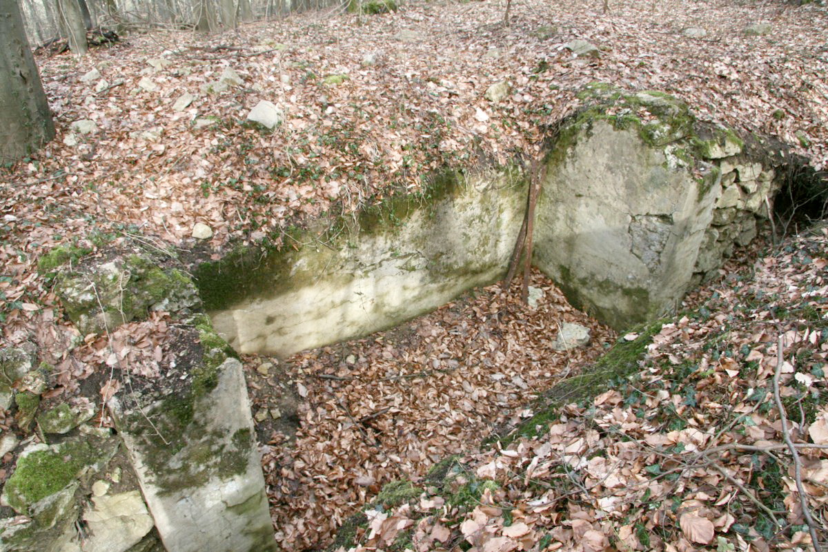 Ligne Maginot - GUNGLINGERBERG 8 - (Cuve pour arme d'infanterie) - Poste de tir d'infanterie bétonné - Alain Perouffe