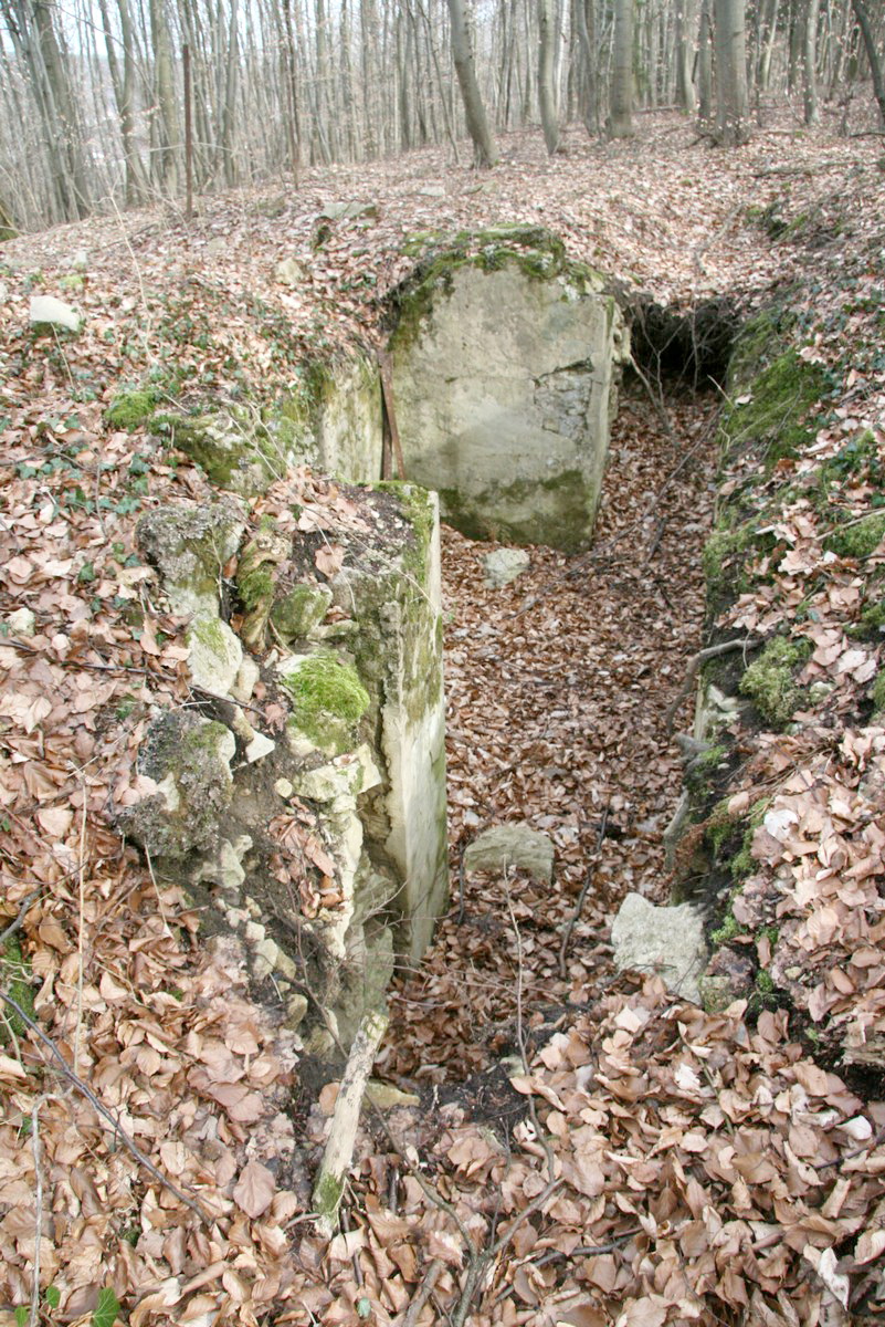 Ligne Maginot - GUNGLINGERBERG 8 - (Cuve pour arme d'infanterie) - Poste de tir d'infanterie bétonné - Alain Perouffe