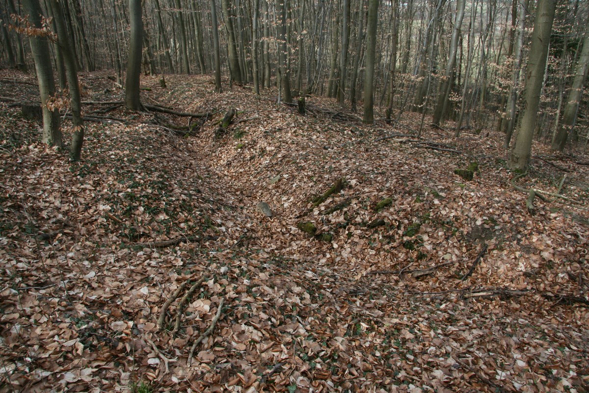 Ligne Maginot - GUNGLINGERBERG 8 - (Cuve pour arme d'infanterie) - Tranchée à proximité
 - Alain Perouffe