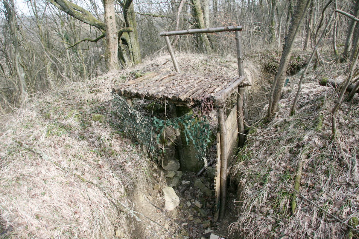 Ligne Maginot - GUNGLINGERBERG 3 - (Cuve pour arme d'infanterie) - Position et tranchée

 - Alain Perouffe
