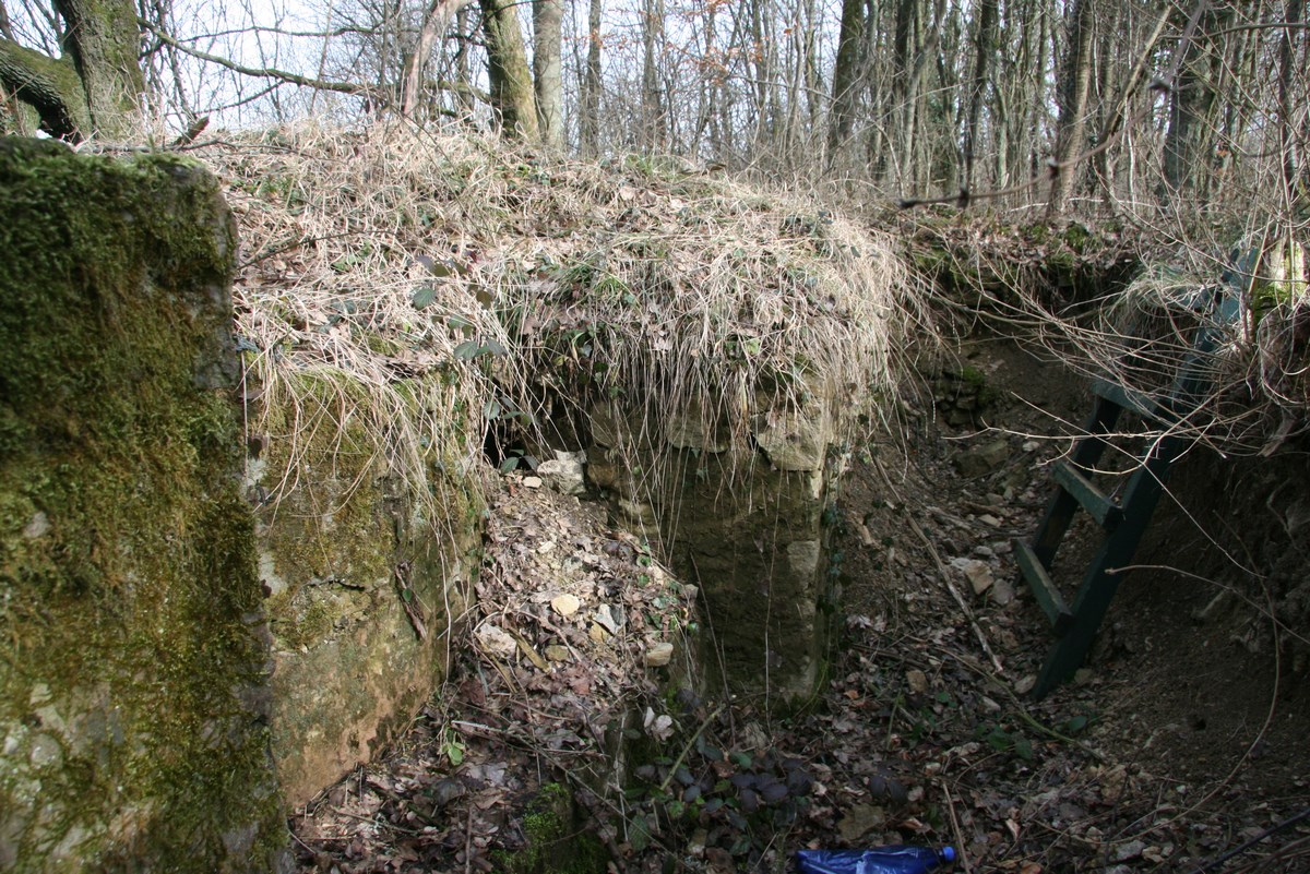 Ligne Maginot - GUNGLINGERBERG 3 - (Cuve pour arme d'infanterie) - Position et tranchée

 - Alain Perouffe