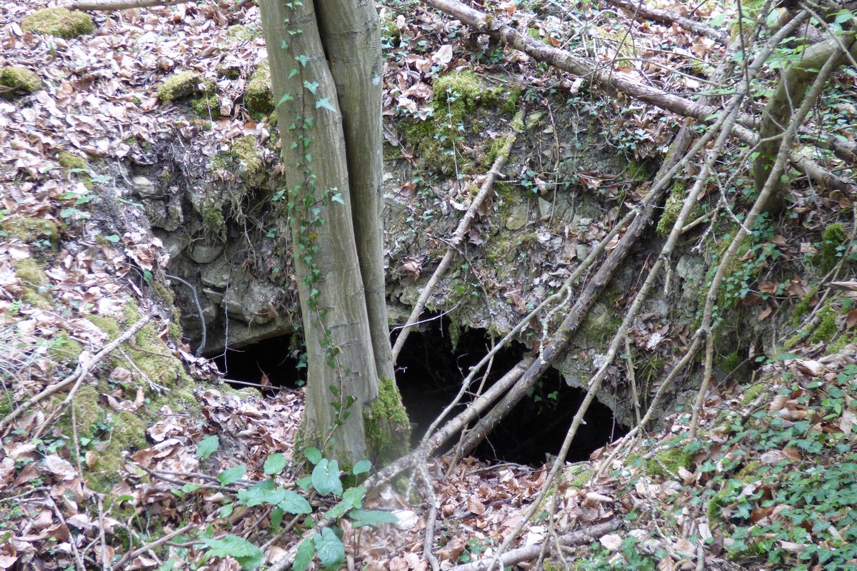 Ligne Maginot - GUNGLINGERWALD 5 - (Abri) - Entrée de l'abri - Alain Perouffe