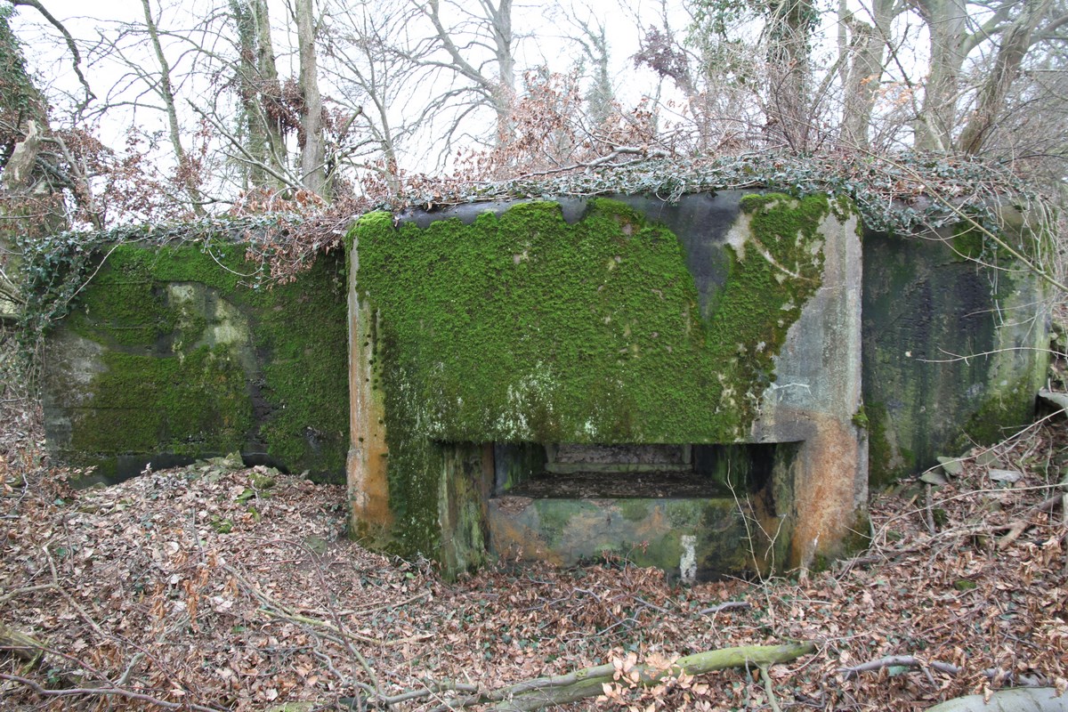 Ligne Maginot - AB1 - (Blockhaus pour canon) - Façade et créneau canon - Alain Perouffe