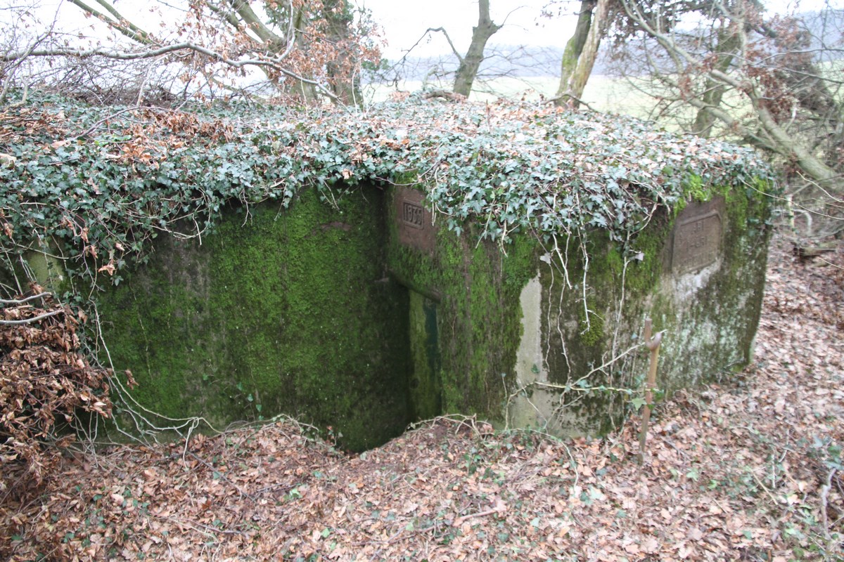 Ligne Maginot - AB1 - (Blockhaus pour canon) - Arrière et entrée - Alain Perouffe