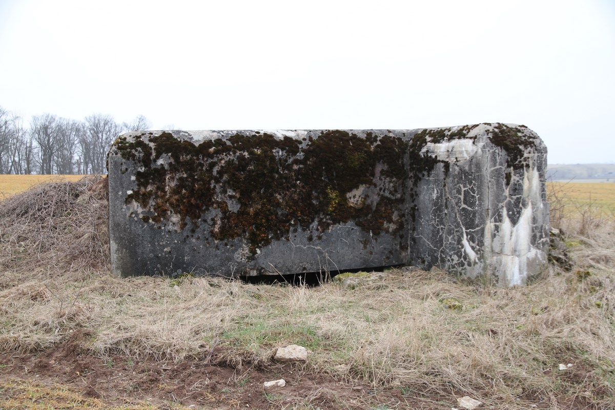 Ligne Maginot - PUTTWINKEL CENTRE - (Blockhaus pour arme infanterie) -  - Alain Perouffe