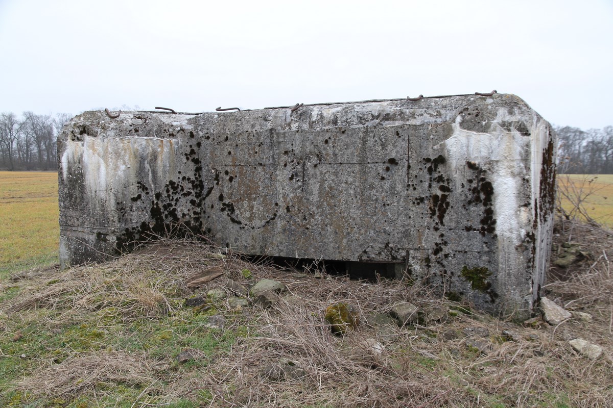Ligne Maginot - PUTTWINKEL SUD - (Blockhaus pour arme infanterie) -  - Alain Perouffe