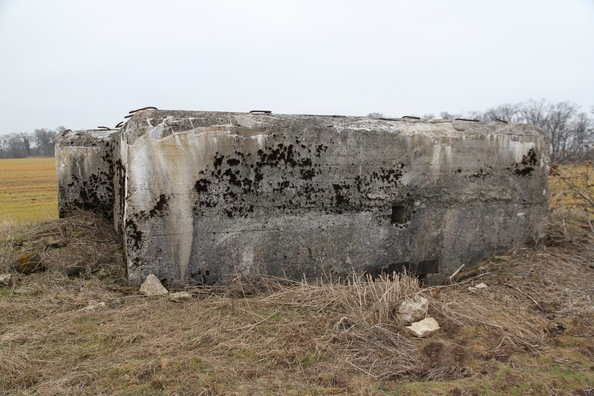 Ligne Maginot - PUTTWINKEL SUD - (Blockhaus pour arme infanterie) -  - Alain Perouffe