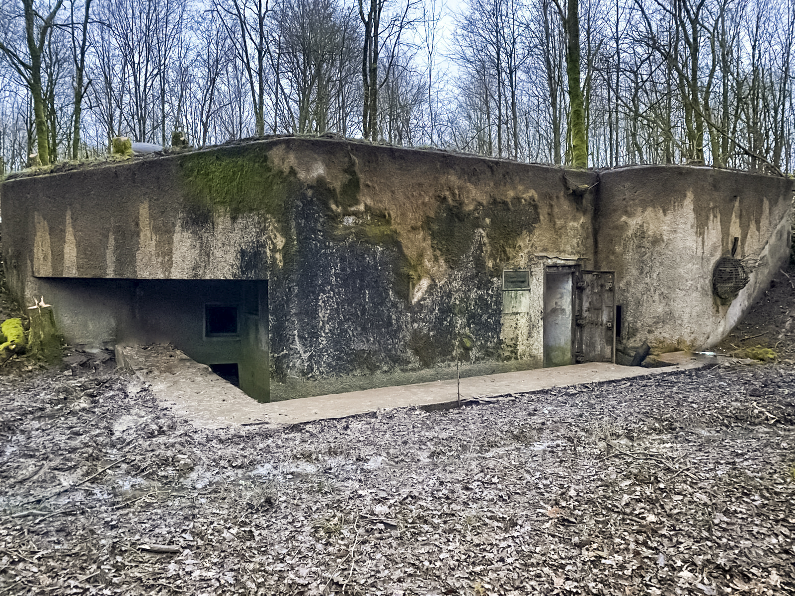 Ligne Maginot - BOIS DE KANFEN OUEST - C42 - (Casemate d'infanterie - Simple) - Début des rénovations par l'association les loups de la Moselle - Maxime GRZESIAK