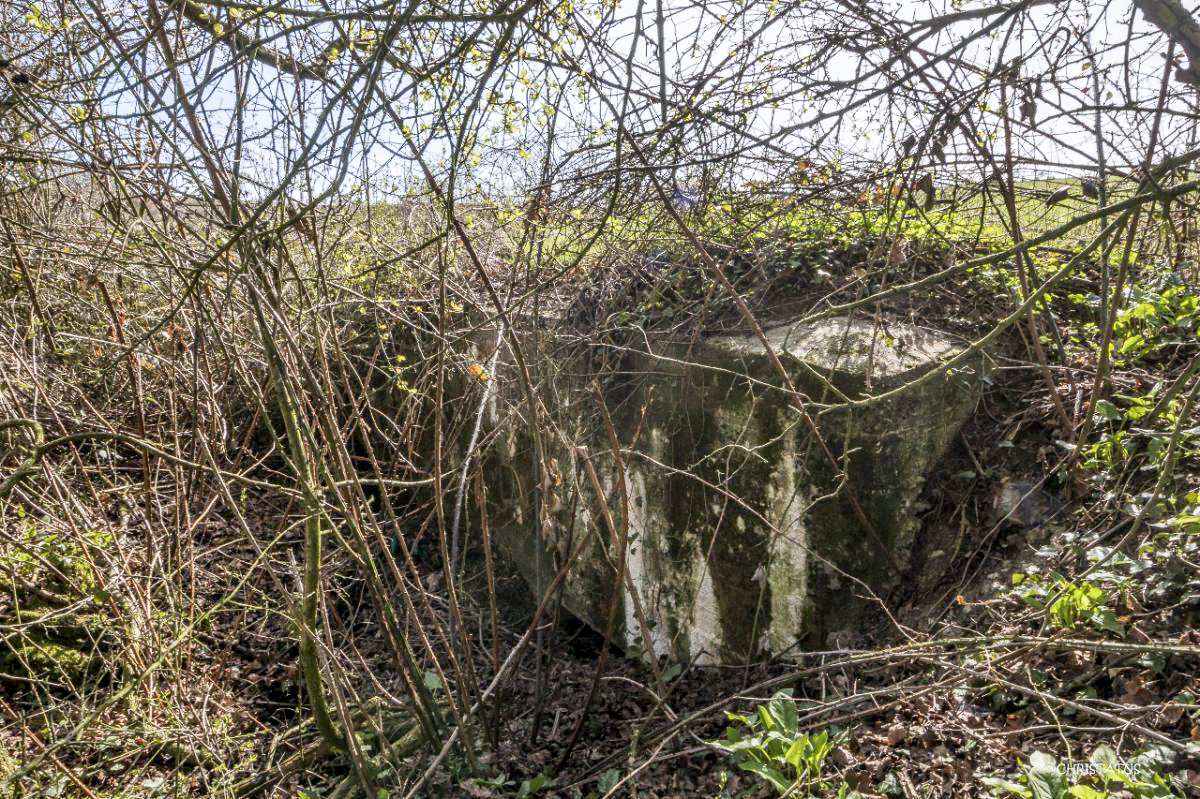 Ligne Maginot - SALWIESE 6 - (Abri) -  - Christian LENHARD