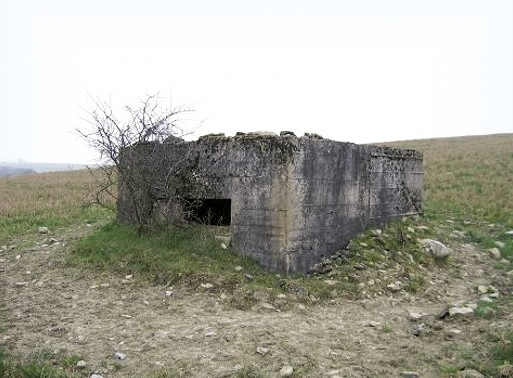 Ligne Maginot - SALWIESE 7 (Blockhaus pour arme infanterie) -  - AALMA - www.lignemaginot.com