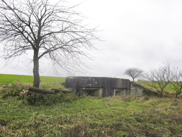 Ligne Maginot - SCHERERSWIESE - (Blockhaus pour arme infanterie) - Vue générale - Christian LENHARD