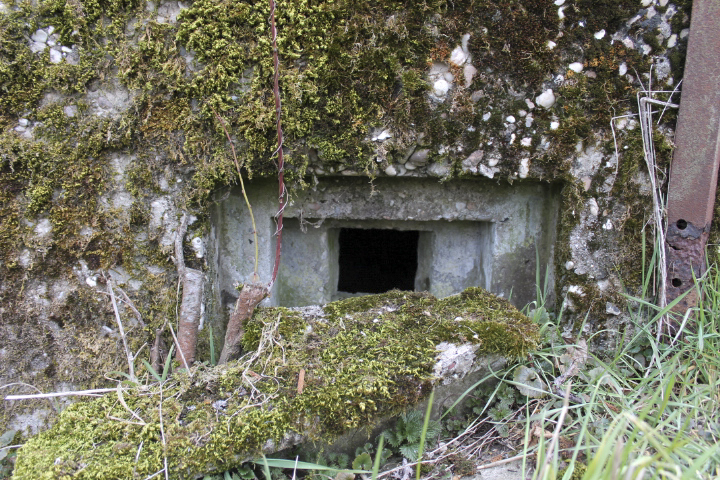 Ligne Maginot - Créneau fusil mitrailleur - Créneau fusil mitrailleur - Christian LENHARD
