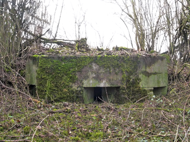 Ligne Maginot - TIEFGRABEN - (Observatoire d'infanterie) - Vue générale - Christian LENHARD